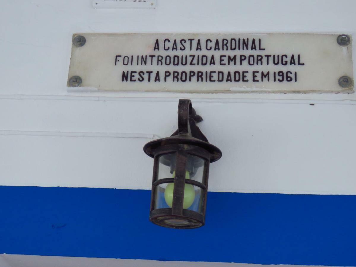 Vale Do Boto-Quinta Com 3 Casas Villa Castro Marim Bagian luar foto