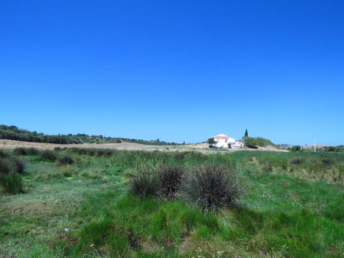 Vale Do Boto-Quinta Com 3 Casas Villa Castro Marim Bagian luar foto